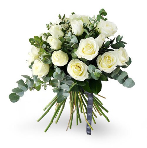 White African Roses