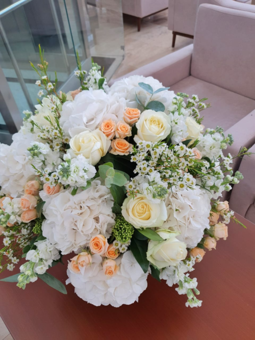 Apricot  Touch