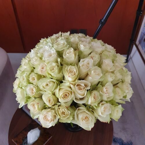 Rose Perfection