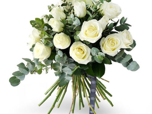 White African Roses