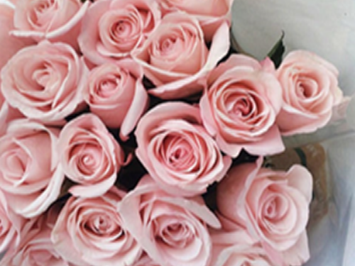 Pink African Roses Hand Bouquet