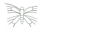 Flowers Oman - Flowers & Gifts in Muscat